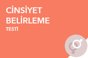 Doğum Takvimi: PDRyi hesapla 40