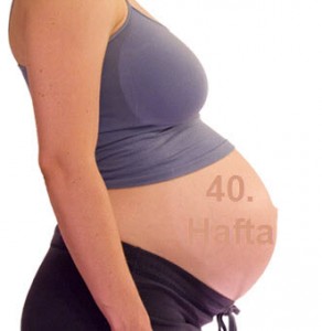 Hamilelikte 40. hafta