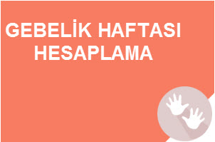 gebelik-hesaplama-gebelik-haftasi-hesaplama